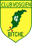 CVBitche