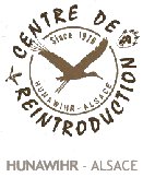 Logo Cigogne Loutre